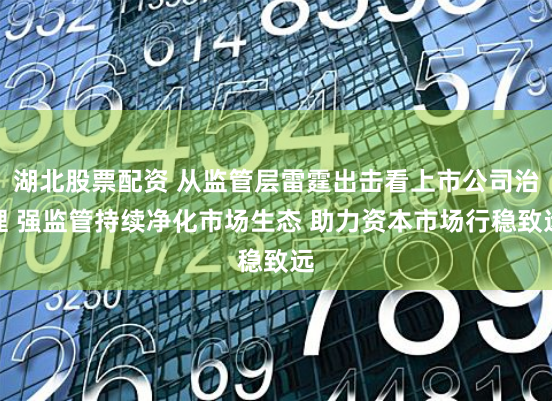 湖北股票配资 从监管层雷霆出击看上市公司治理 强监管持续净化市场生态 助力资本市场行稳致远